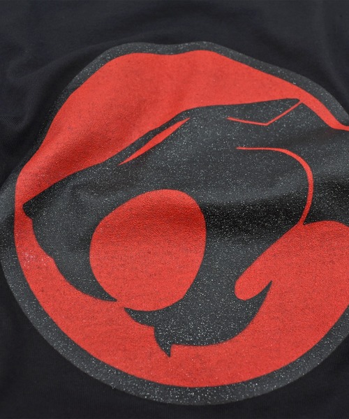 VINTAGE(ヴィンテージ)の「【USED】80’s “ThunderCats” ロゴ Tシャツ(Tシャツ/カットソー・メンズ・ブラック・SMALL)」の4枚目の写真