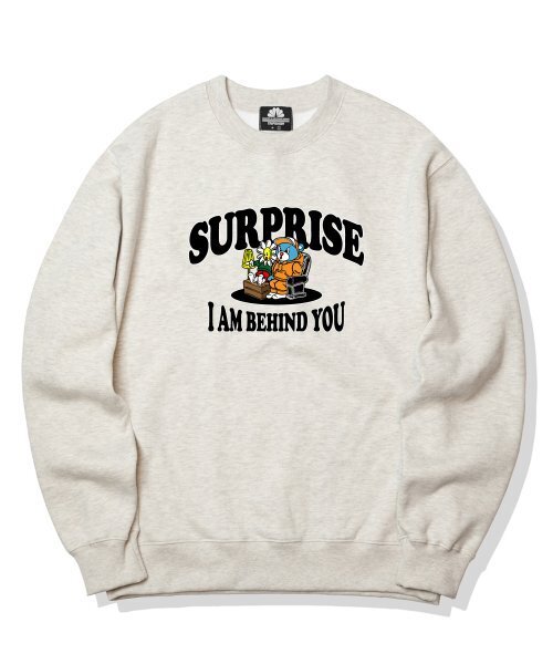 TRIPSHION(トリップション)の「サプライズデュオグラフィック クルーネック - アイボリー(スウェット・メンズ・その他・LARGE/MEDIUM/X-LARGE)」の1枚目の写真