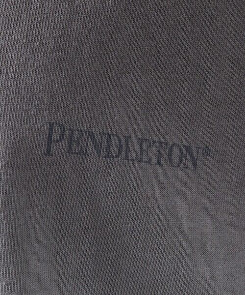 PENDLETON（ペンドルトン）の「【PENDLETON/ペンドルトン】グラデーション ダイバックプリント Tシャツ / ユニセックス（Tシャツ/カットソー・メンズ・グレー系その他/ブルー系その他/オレンジ系その他・M/L）」の9枚目の写真