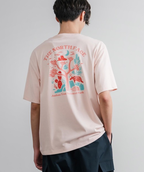 THE NORTH FACE(ザノースフェイス)の「THE NORTH FACE ザ・ノースフェイス M'S EVERGREEN S/S R/TEE 1 バックプリント半袖クルーネックTシャツ(Tシャツ/カットソー・メンズ・クリーム/ベージュ/ピンクベージュ/ブラック・L/M/XL)」の22枚目の写真