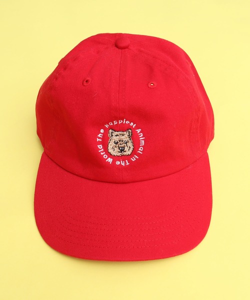 didizizi（ディディジジ）の「クワッカ刺繍キャップ（キャップ・レディース・ネイビー/レッド/グレー・FREE）」の11枚目の写真