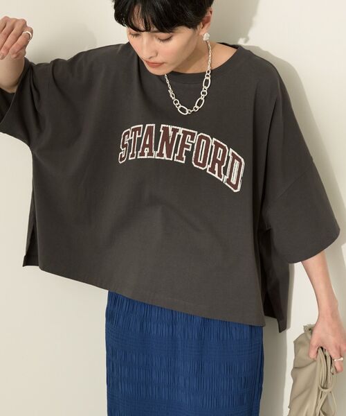 AMERICAN HOLIC（アメリカンホリック）の「STANFORD BIGプルオーバー（Tシャツ/カットソー・レディース・グリーン/アイボリー/ベージュ/チャコールグレー/ブラウン・L/M）」の9枚目の写真