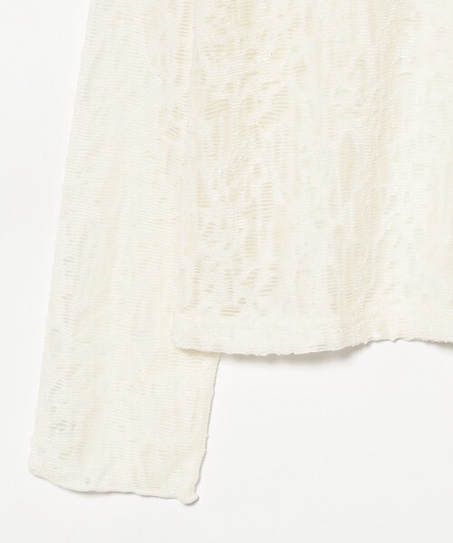 Ray BEAMS（レイビームス）の「レース ジャガード ハイネック トップス（Tシャツ/カットソー・レディース・オフホワイト/ブラック・ONE SIZE）」の16枚目の写真