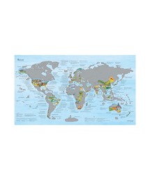 GREENROOM（グリーンルーム）の「【AWESOME MAPS / オーサムマップス】BUCKETLIST MAP-SCRATCH EDITION（ポスター/アート）」