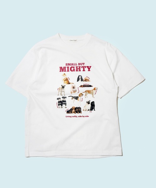 BENCH'S SELECT(ベンチセレクト)の「DOG PRINT TEE(Tシャツ/カットソー・メンズ・ホワイト/ミント・MEDIUM/LARGE)」の1枚目の写真
