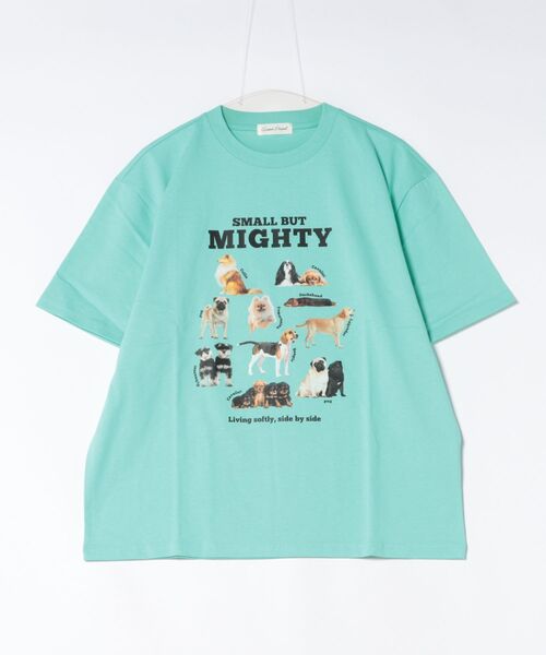 BENCH'S SELECT(ベンチセレクト)の「DOG PRINT TEE(Tシャツ/カットソー・メンズ・ホワイト/ミント・MEDIUM/LARGE)」の6枚目の写真