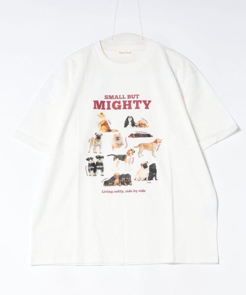 BENCH'S SELECT(ベンチセレクト)の「DOG PRINT TEE(Tシャツ/カットソー・メンズ・ホワイト/ミント・MEDIUM/LARGE)」の7枚目の写真