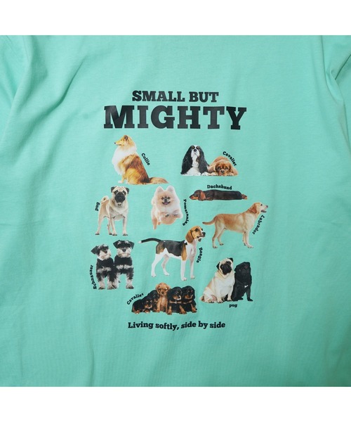 BENCH'S SELECT(ベンチセレクト)の「DOG PRINT TEE(Tシャツ/カットソー・メンズ・ホワイト/ミント・MEDIUM/LARGE)」の4枚目の写真