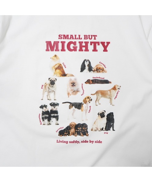 BENCH'S SELECT(ベンチセレクト)の「DOG PRINT TEE(Tシャツ/カットソー・メンズ・ホワイト/ミント・MEDIUM/LARGE)」の5枚目の写真