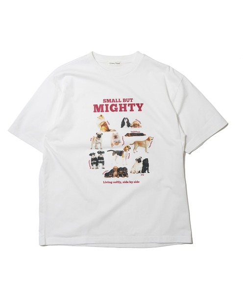 BENCH'S SELECT(ベンチセレクト)の「DOG PRINT TEE(Tシャツ/カットソー・メンズ・ホワイト/ミント・MEDIUM/LARGE)」の8枚目の写真