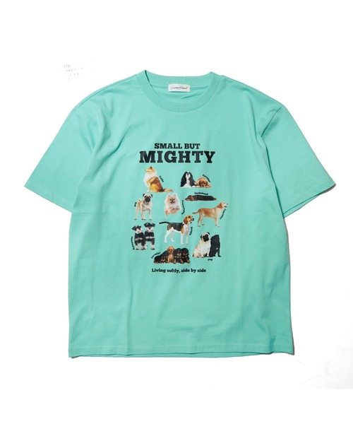 BENCH'S SELECT(ベンチセレクト)の「DOG PRINT TEE(Tシャツ/カットソー・メンズ・ホワイト/ミント・MEDIUM/LARGE)」の9枚目の写真