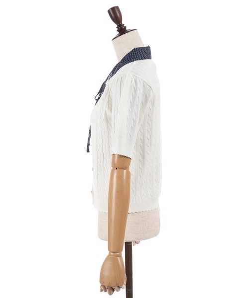 axes femme POETIQUE(アクシーズファムポエティック)の「うさぎ刺繍襟付きニットプルオーバー(ニット/セーター・レディース・ホワイト/サックスブルー/ワイン・MEDIUM)」の15枚目の写真