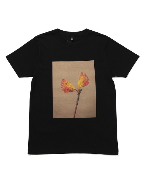 ADAM ET ROPE'(アダムエロペ)の「【LISA KING】Tee(Tシャツ/カットソー・レディース・パープル/イエロー/オレンジ/グリーン・1)」の9枚目の写真