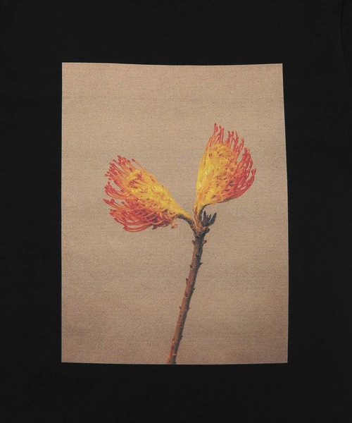 ADAM ET ROPE'(アダムエロペ)の「【LISA KING】Tee(Tシャツ/カットソー・レディース・パープル/イエロー/オレンジ/グリーン・1)」の16枚目の写真