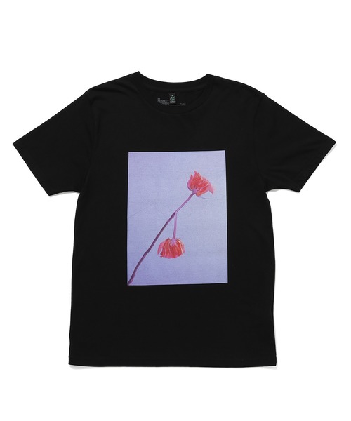 ADAM ET ROPE'(アダムエロペ)の「【LISA KING】Tee(Tシャツ/カットソー・レディース・パープル/イエロー/オレンジ/グリーン・1)」の18枚目の写真