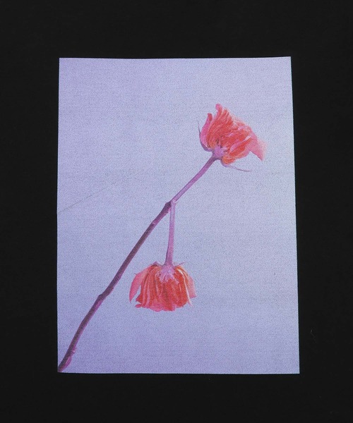 ADAM ET ROPE'(アダムエロペ)の「【LISA KING】Tee(Tシャツ/カットソー・レディース・パープル/イエロー/オレンジ/グリーン・1)」の19枚目の写真