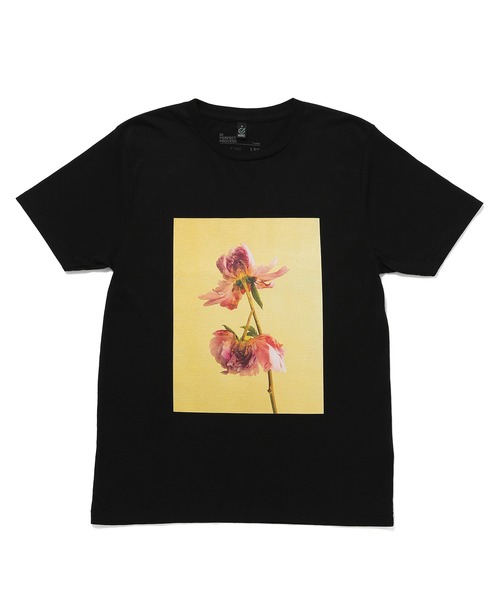 ADAM ET ROPE'(アダムエロペ)の「【LISA KING】Tee(Tシャツ/カットソー・レディース・パープル/イエロー/オレンジ/グリーン・1)」の21枚目の写真