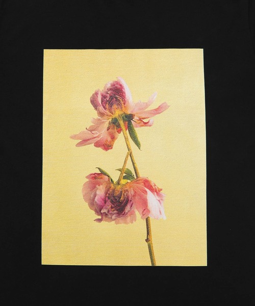 ADAM ET ROPE'(アダムエロペ)の「【LISA KING】Tee(Tシャツ/カットソー・レディース・パープル/イエロー/オレンジ/グリーン・1)」の22枚目の写真