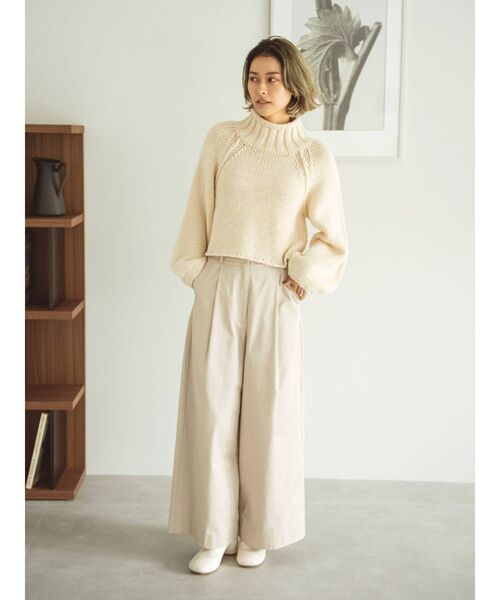 Ungrid(アングリッド)の「ローゲージハイネックショートニット(ニット/セーター・レディース・チャコールグレー/アイボリー/グリーン系その他・FREE)」の19枚目の写真