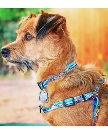 WOLFGANG MAN＆BEAST（ウルフギャングマンアンドビースト）の「WOLFGANG/ウルフギャング 犬用 ハーネス BeachBreak Harness M WH-002-10（リード/ハーネス/首輪）」