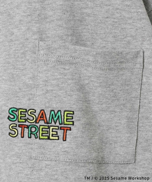 LEPSIM（レプシィム）の「【SESAME STREET／セサミストリート】【KIDS】BIGTシャツ　322209（Tシャツ/カットソー・キッズ・グレー/ホワイト/グリーン・130）」の16枚目の写真