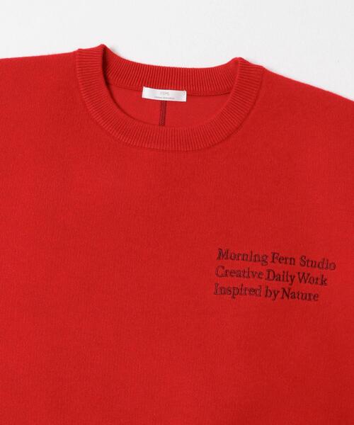 ITEMS URBANRESEARCH（アイテムズ アーバンリサーチ）の「スウェットライククルーネックニット（ニット/セーター・レディース・レッド/グレー/ブラック/アイボリー・FREE）」の18枚目の写真