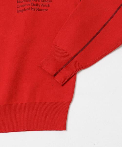 ITEMS URBANRESEARCH（アイテムズ アーバンリサーチ）の「スウェットライククルーネックニット（ニット/セーター・レディース・レッド/グレー/ブラック/アイボリー・FREE）」の19枚目の写真