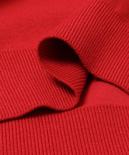 ITEMS URBANRESEARCH（アイテムズ アーバンリサーチ）の「スウェットライククルーネックニット（ニット/セーター・レディース・レッド/グレー/ブラック/アイボリー・FREE）」の21枚目の写真