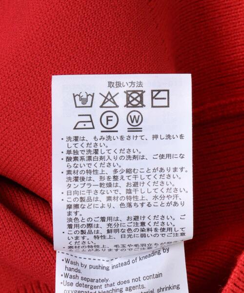 ITEMS URBANRESEARCH（アイテムズ アーバンリサーチ）の「スウェットライククルーネックニット（ニット/セーター・レディース・レッド/グレー/ブラック/アイボリー・FREE）」の22枚目の写真