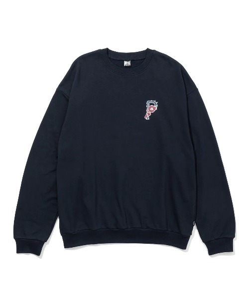 POLeR(ポーラー)の「POLER BIG LOGO CREW(ポーラー ビッグロゴ クルー)(スウェット・メンズ・ネイビー/グリーン・MEDIUM/LARGE/X-LARGE)」の1枚目の写真