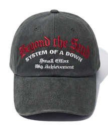 IDWS（アイドンワナセル）の「System Down Maxi Cap Charcoal（キャップ）」