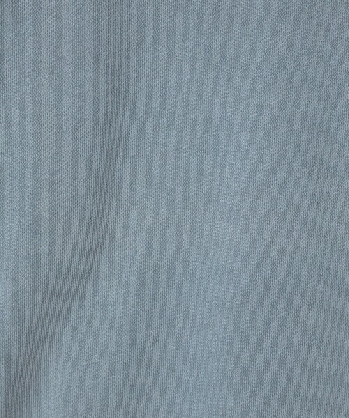 Champion × monkey time＞ピグメント スキッパー ポロシャツ（Tシャツ