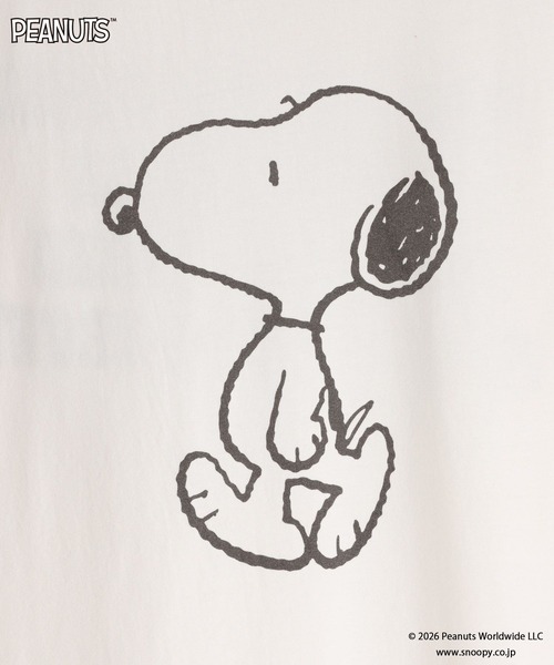 LOWRYS FARM(ローリーズファーム)の「【SNOOPY】クラッシュTシャツ(Tシャツ/カットソー・レディース・オフホワイト/チャコールグレー/ライトブルー・FREE)」の11枚目の写真