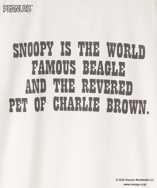 LOWRYS FARM(ローリーズファーム)の「【SNOOPY】クラッシュTシャツ(Tシャツ/カットソー・レディース・オフホワイト/チャコールグレー/ライトブルー・FREE)」の12枚目の写真