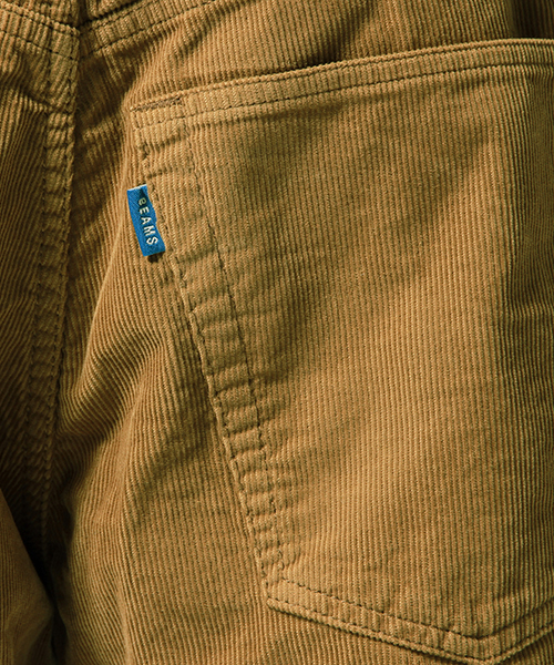 BEAMS（ビームス）の「BEAMS / バギーコーデュロイショーツ（その他パンツ・メンズ・セージグリーン/ブラウン・LARGE/SMALL/MEDIUM）」の13枚目の写真