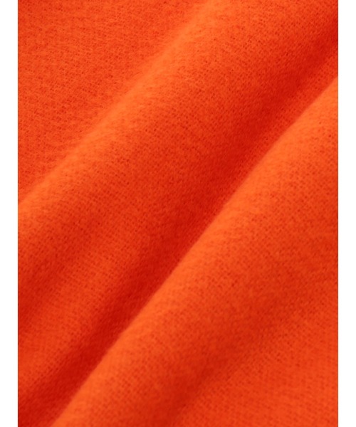 Green Parks(グリーンパークス)の「カシミヤライクストール*(ストール/ショール・レディース・その他8/ベージュ/ピンク/ブルー/オレンジ/グレー/イエロー/グリーン・FREE)」の15枚目の写真