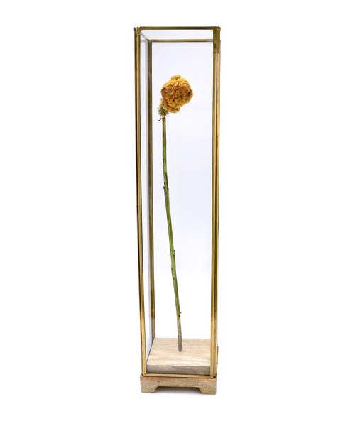 FLOWER DISPLAY STAND L（フラワーベース）｜MONIQUE CHARTLAND by GOODY GRAMS（モニークチャートランドバイグッディグラムス）