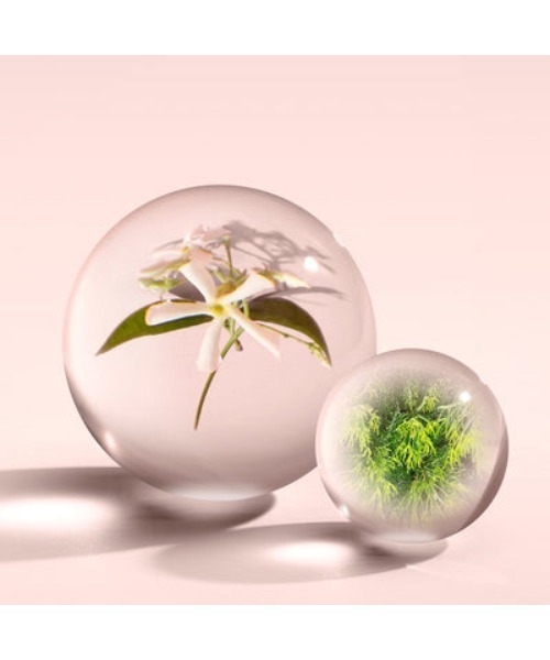 ジャスミン＆サンローズ オードパルファン 100ml｜モルトンブラウン