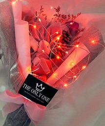 FL import collection（エフエルインポートコレクション）の「【LED照明】ワイヤールームデコレーションライト（照明）」