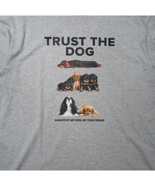BENCH'S SELECT（ベンチセレクト）の「DOG PRINT TEE（Tシャツ/カットソー・メンズ・ホワイト/ヘザーグレー・MEDIUM/LARGE）」の7枚目の写真