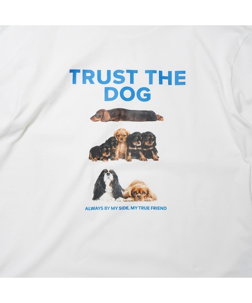 BENCH'S SELECT（ベンチセレクト）の「DOG PRINT TEE（Tシャツ/カットソー・メンズ・ホワイト/ヘザーグレー・MEDIUM/LARGE）」の6枚目の写真