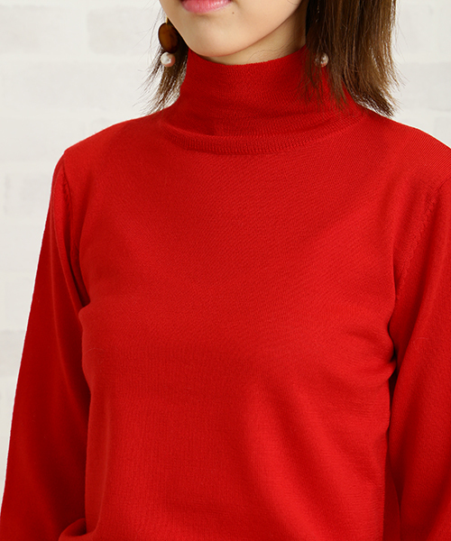 N.(N. Natural Beauty Basic)(エヌエヌナチュラルビューティーベーシック)の「ウールベーシックタートルニット(ニット/セーター・レディース・レッド/ブルー/ピンク/グレー/ブラック/ホワイト・MEDIUM)」の15枚目の写真