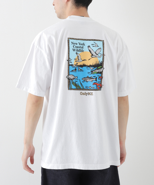 ONLY NY（オンリーニューヨーク）の「【ONLY NY / オンリーニューヨーク】COASTAL WILDLIFE T-SHIRT（Tシャツ/カットソー・メンズ・ホワイト/ブラック系その他・MEDIUM/LARGE/X-LARGE）」の2枚目の写真