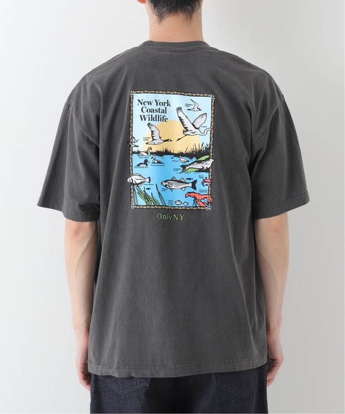 ONLY NY（オンリーニューヨーク）の「【ONLY NY / オンリーニューヨーク】COASTAL WILDLIFE T-SHIRT（Tシャツ/カットソー・メンズ・ホワイト/ブラック系その他・MEDIUM/LARGE/X-LARGE）」の6枚目の写真