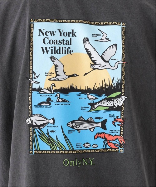 ONLY NY（オンリーニューヨーク）の「【ONLY NY / オンリーニューヨーク】COASTAL WILDLIFE T-SHIRT（Tシャツ/カットソー・メンズ・ホワイト/ブラック系その他・MEDIUM/LARGE/X-LARGE）」の15枚目の写真