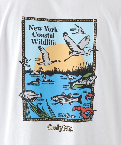 ONLY NY（オンリーニューヨーク）の「【ONLY NY / オンリーニューヨーク】COASTAL WILDLIFE T-SHIRT（Tシャツ/カットソー・メンズ・ホワイト/ブラック系その他・MEDIUM/LARGE/X-LARGE）」の14枚目の写真