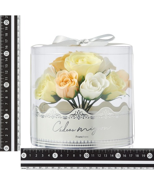 カドミニョン バスペタル ブーケ ライトグリーン（入浴剤）ギフト 女性