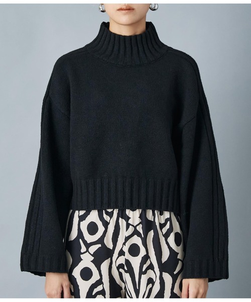 Settimissimo（セッティミッシモ）の「ハイネック ショート丈ニット プルオーバー 長袖（ニット/セーター・レディース・レッド/ブラック・FREE）」の8枚目の写真