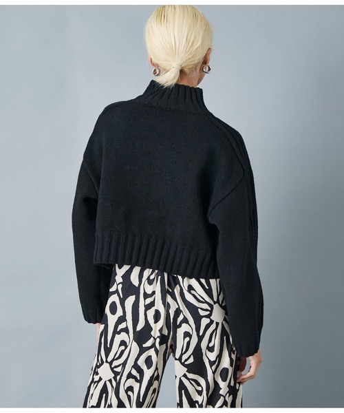 Settimissimo（セッティミッシモ）の「ハイネック ショート丈ニット プルオーバー 長袖（ニット/セーター・レディース・レッド/ブラック・FREE）」の18枚目の写真