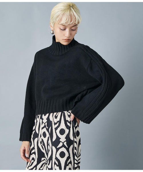 Settimissimo（セッティミッシモ）の「ハイネック ショート丈ニット プルオーバー 長袖（ニット/セーター・レディース・レッド/ブラック・FREE）」の14枚目の写真